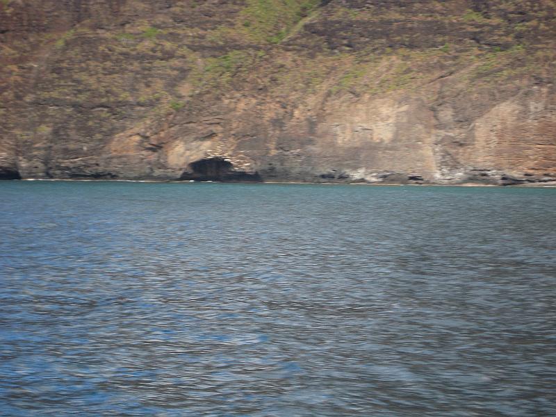Picture 009